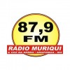 Radio Muriqui