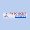 Rádio FM Princesa 99.3