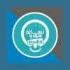 Nasaem Syria Radio - راديو نسائم سوريا