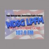 WDSG-LP 107.9 FM
