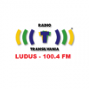 Radio Transilvania - Luduş
