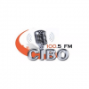 CIBO-FM 100,5