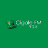 Cigale FM