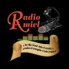 Radio Amiel