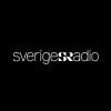 Radio Sweden P6