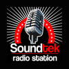 Soundtek Radio Station